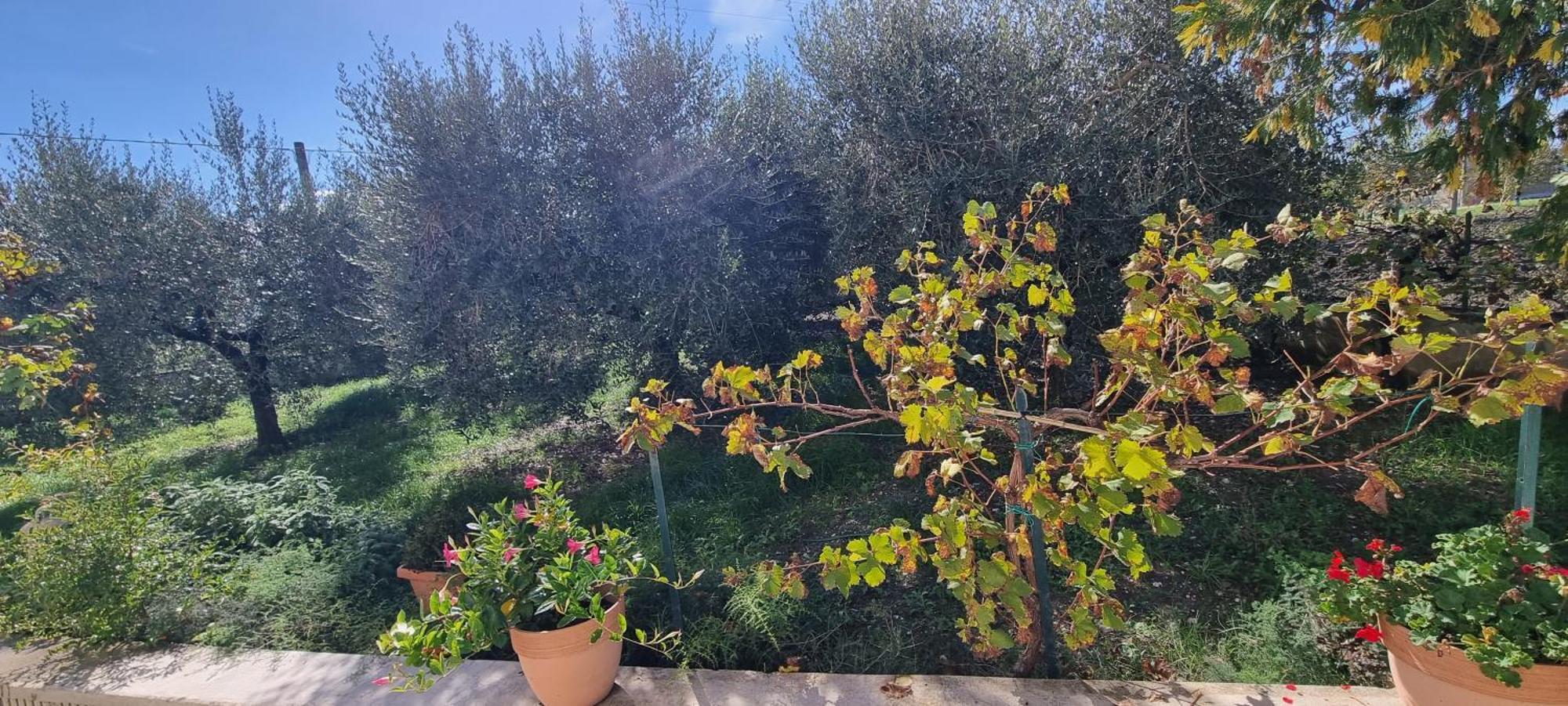 Holiday home Casa Primavera Tordandrea